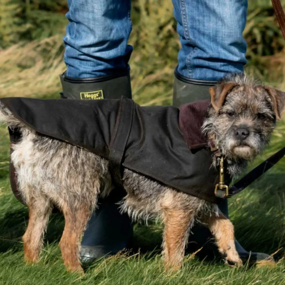 British Classic Black~  BARBOUR Matt Waxed Cotton Dog Coat MSRP$115.